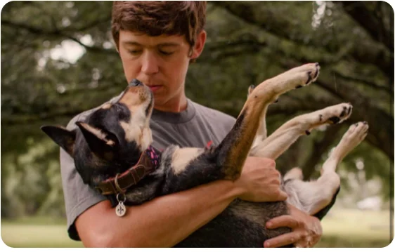 Boy hugging his dog