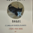 Bagle