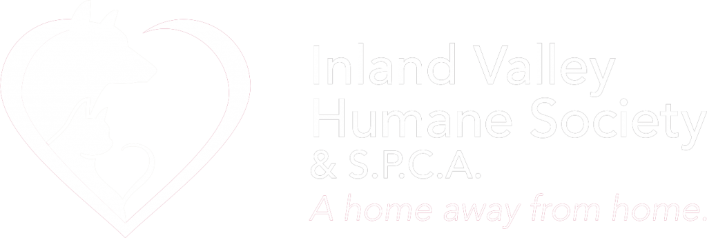 Inland Valley Humane Society and S.P.C.A. A home away from home.