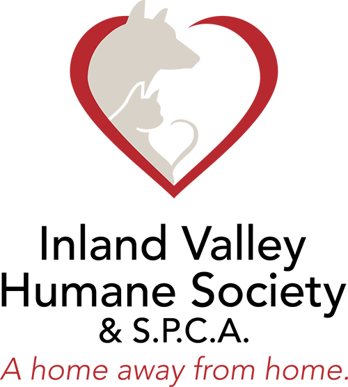 Inland Valley Humane Society and S.P.C.A. A home away from home.